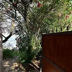 Villa Milvio Con Accesso Privato In