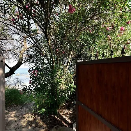 Villa Milvio Con Accesso Privato In